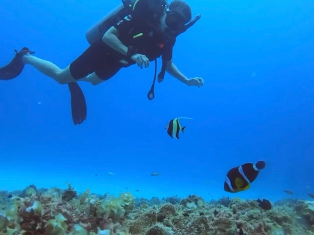 Just Diving景点图片