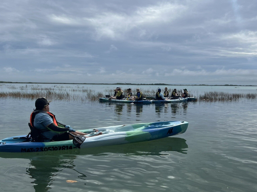Zona Arqueológica de Muyil-Chunyaxche必去景点