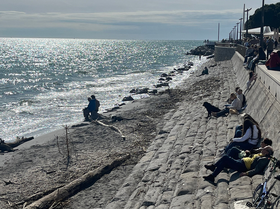 Lungomare Nazario Sauro景点图片