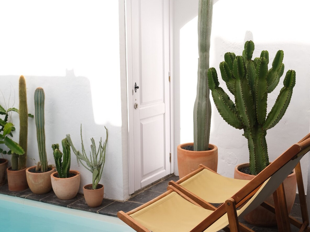 Casa de las Flores - Hotel Boutique Lanzarote主图