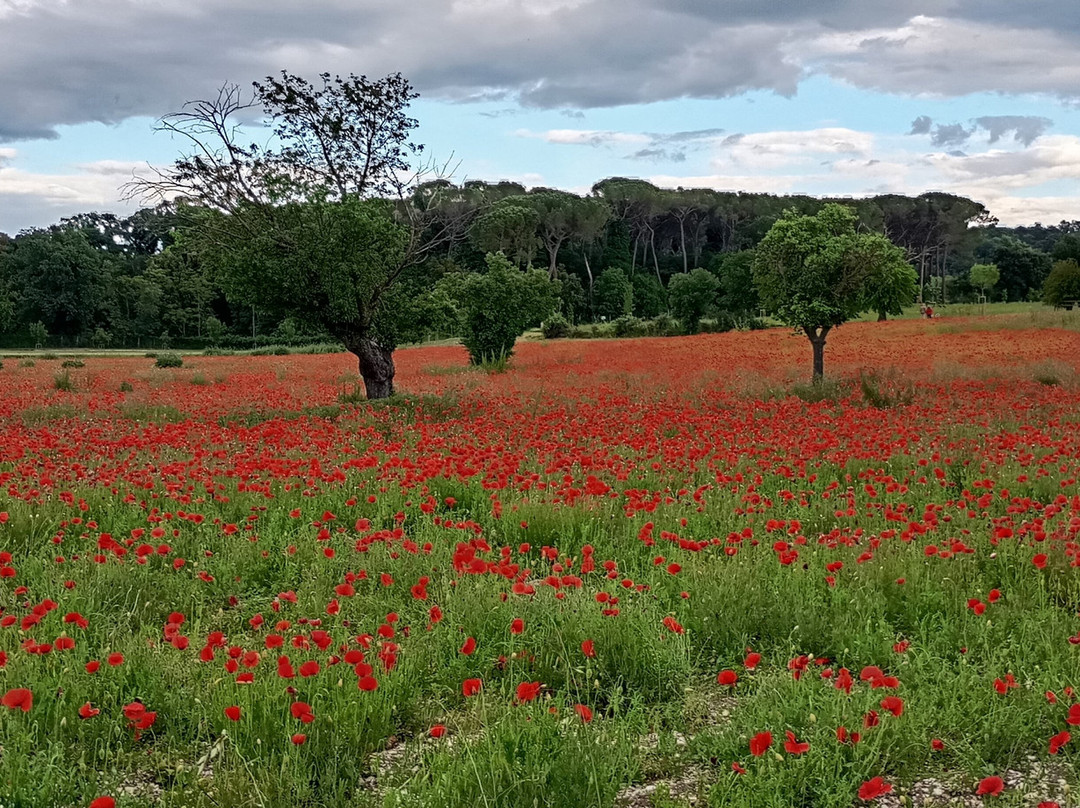 Riserva Naturale Abbadia di Fiastra景点图片