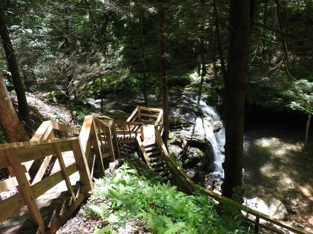 Frozen Head State Park-Wartburg必去景点
