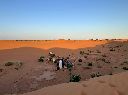 Sahara mystery-迈哈米德必去景点