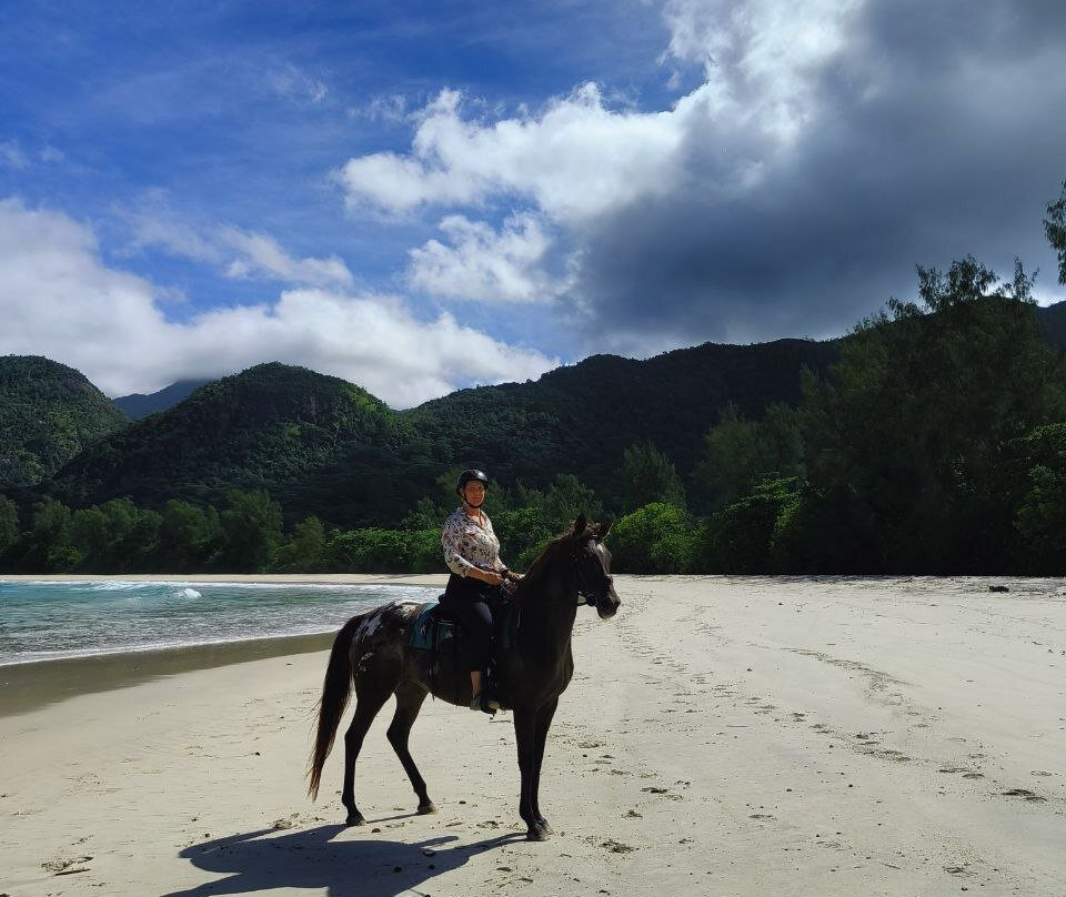 Turquoise Horse Trails-马埃岛必去景点