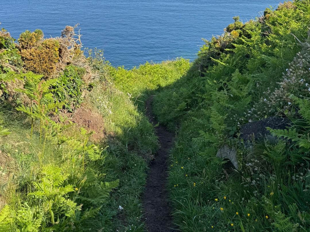 Pointe De Primel-Plougasnou必去景点