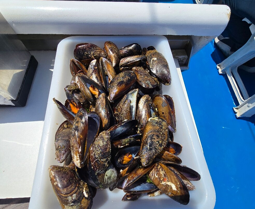 Mares Do Grove-格罗韦必去景点