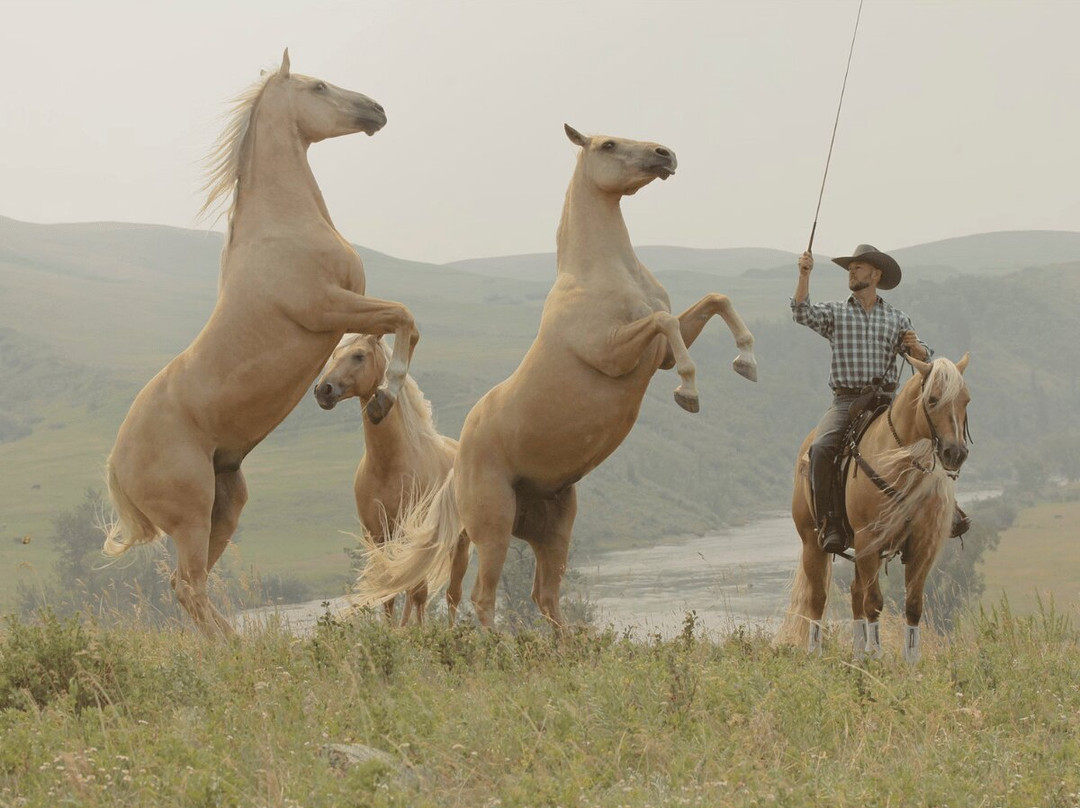 Double Dan Horsemanship