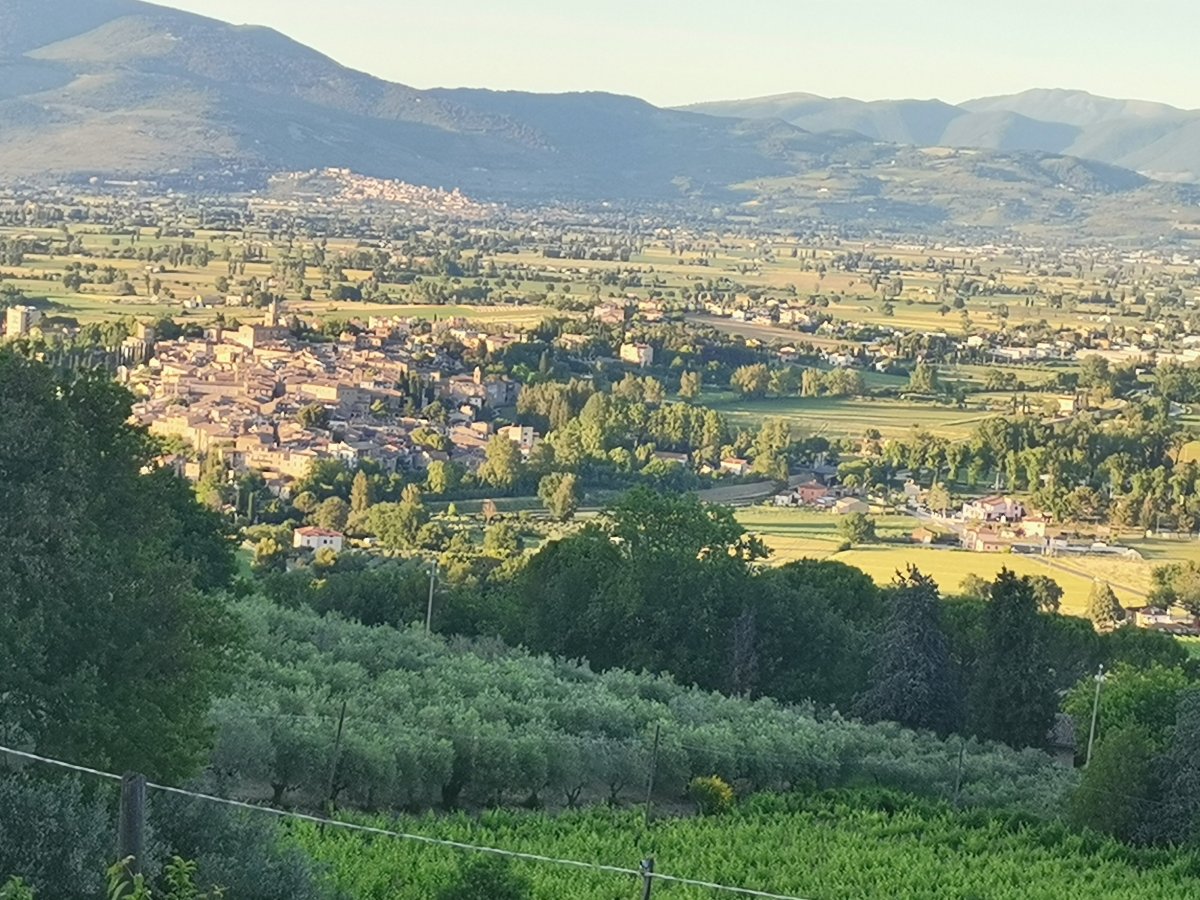 Agriturismo Etico le Grazie-官方