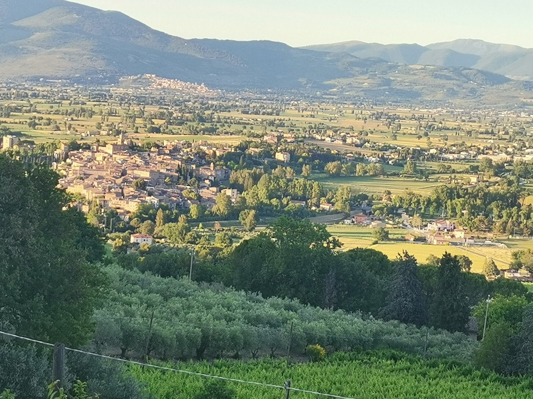 Agriturismo Etico Le Grazie主图