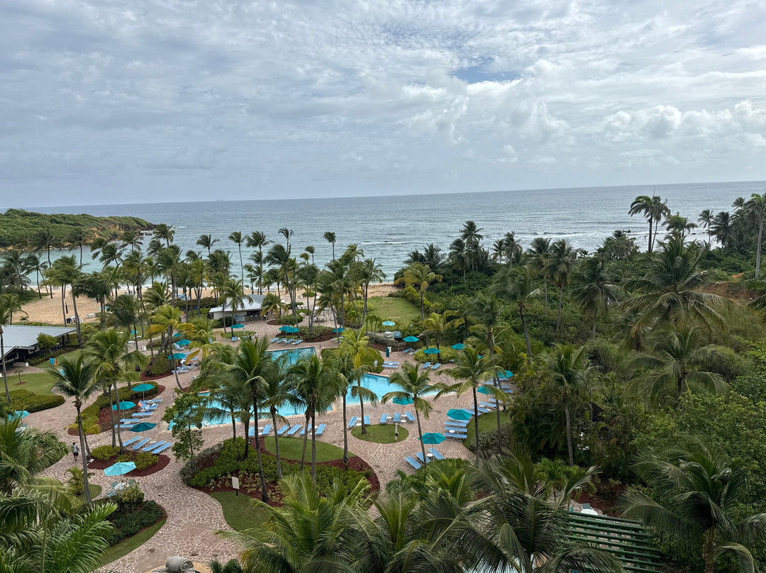 哈西恩德戴尔马尔凯悦酒店主图