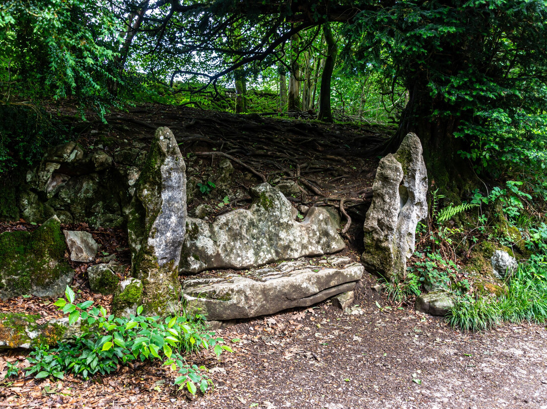 Ingleborough Estate Nature Trail景点图片
