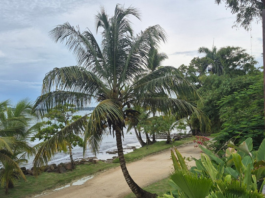 La Coralina Beach Club