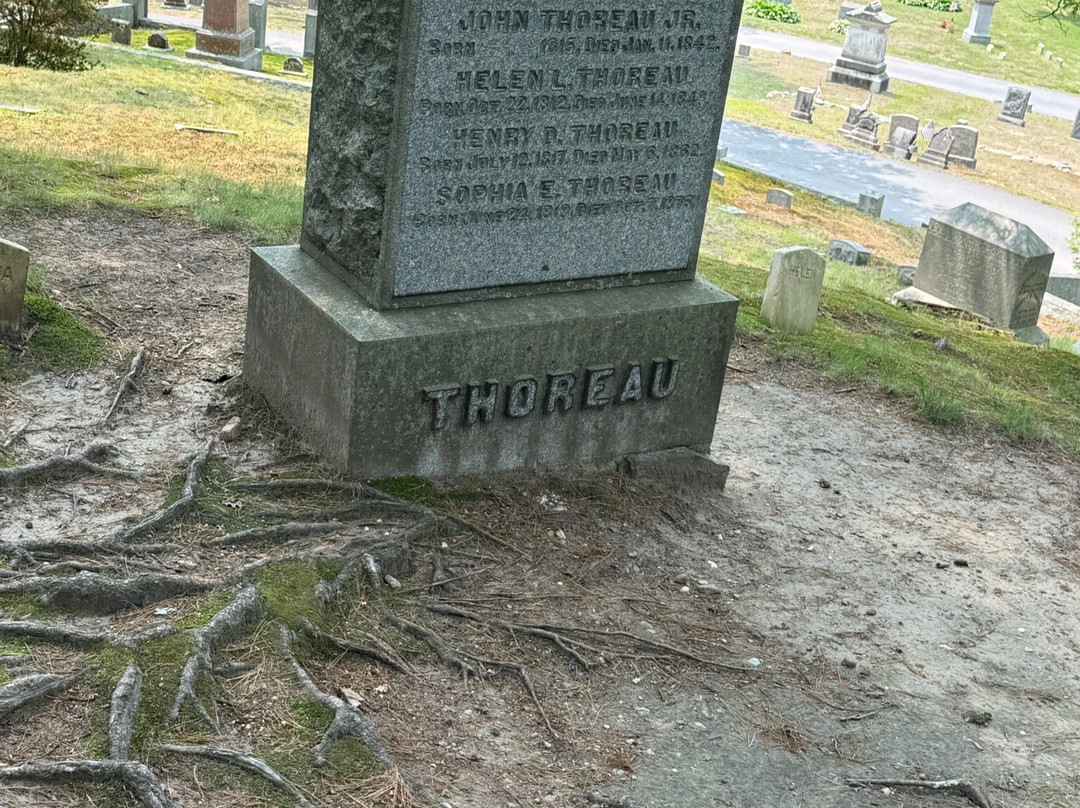 Sleepy Hollow Cemetery-康科德必去景点