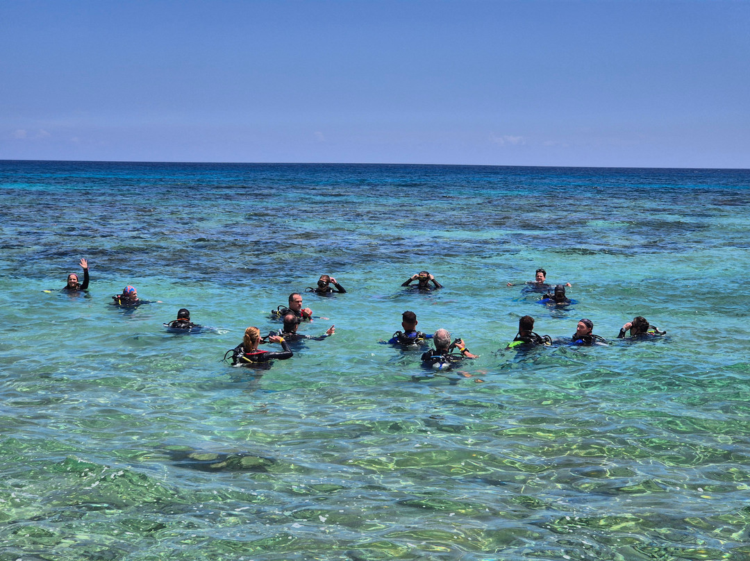 Varadero Diving Tour-Playa Larga必去景点