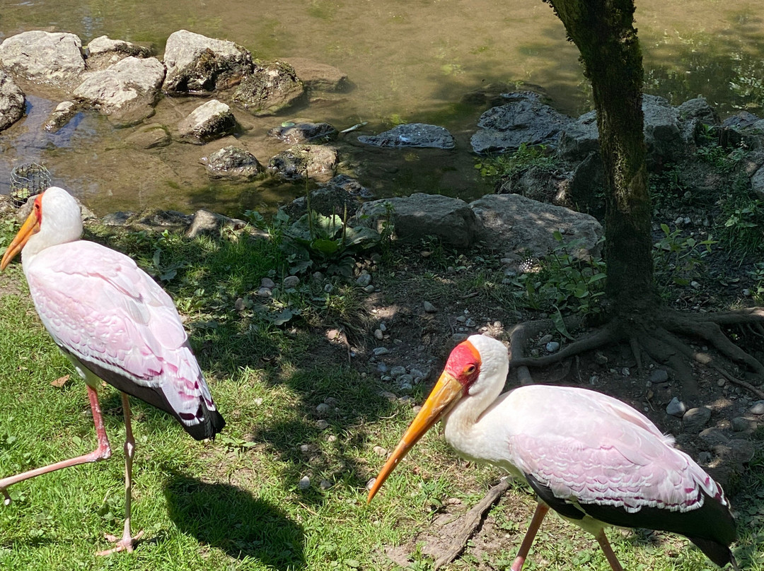 Raritätenzoo Ebbs-埃布斯必去景点