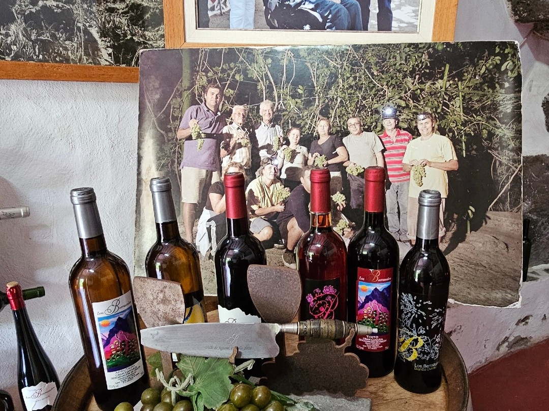 Bodega Los Berrazales-Agaete必去景点
