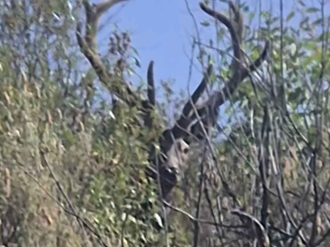 Birding Naturaleza-Plasencia必去景点