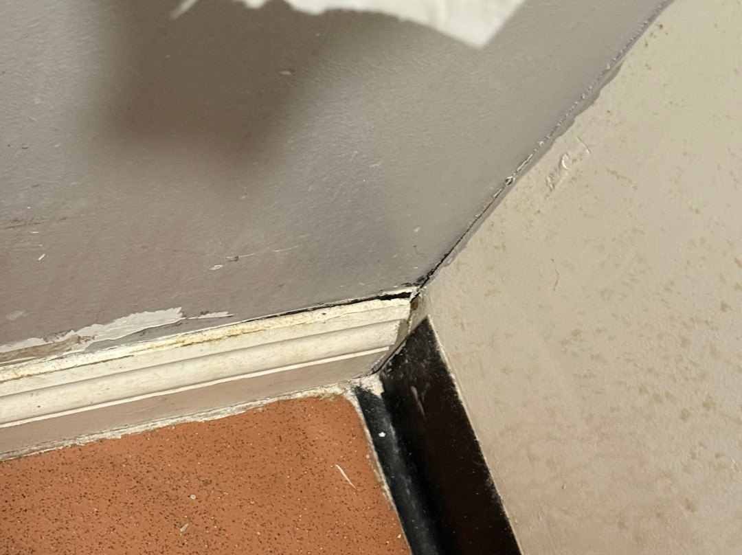 Wonder World Soft Play Falkirk-福尔柯克必去景点