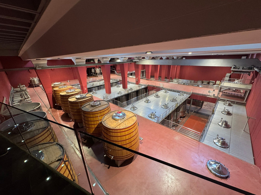 Bodega Sommos-Barbastro必去景点