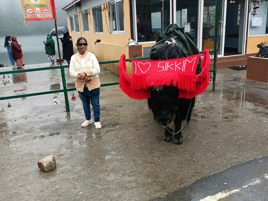 Sterling Gangtok Orange Village主图