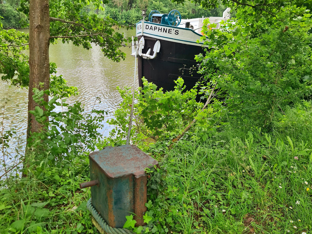 Bateau Daphné主图
