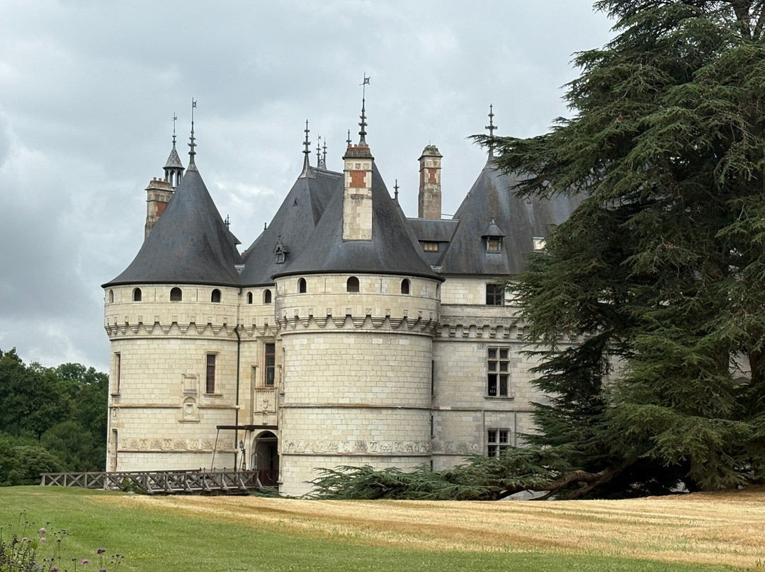 Chateau De Chaumont Sur Loire-Chaumont-sur-Loire必去景点
