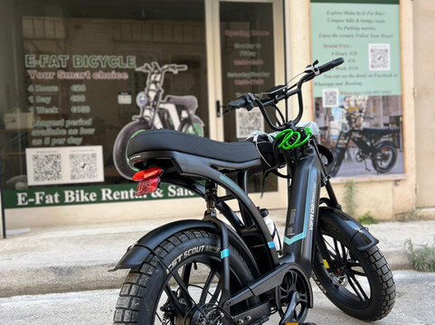 Besycle Ebike-斯利马必去景点