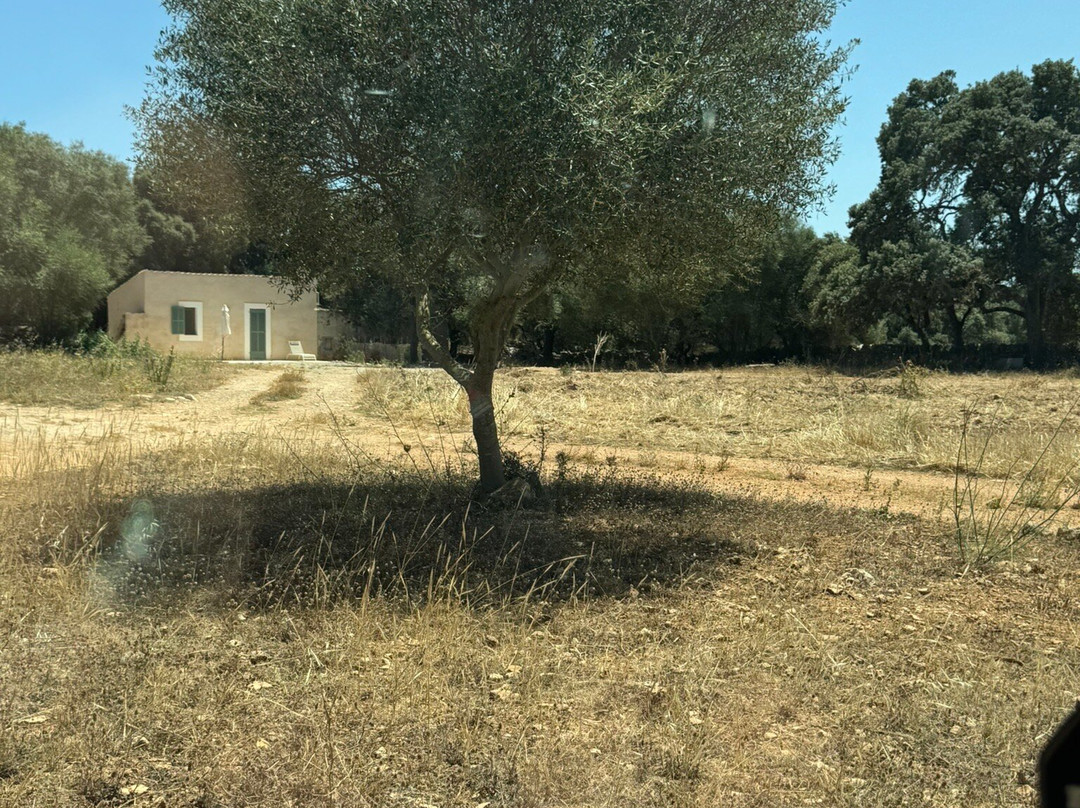 Agroturisme Rafal Nou主图