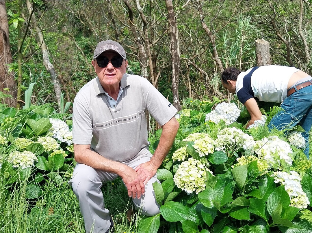 Follow Me Guided Tours-蓬塔德尔加达必去景点