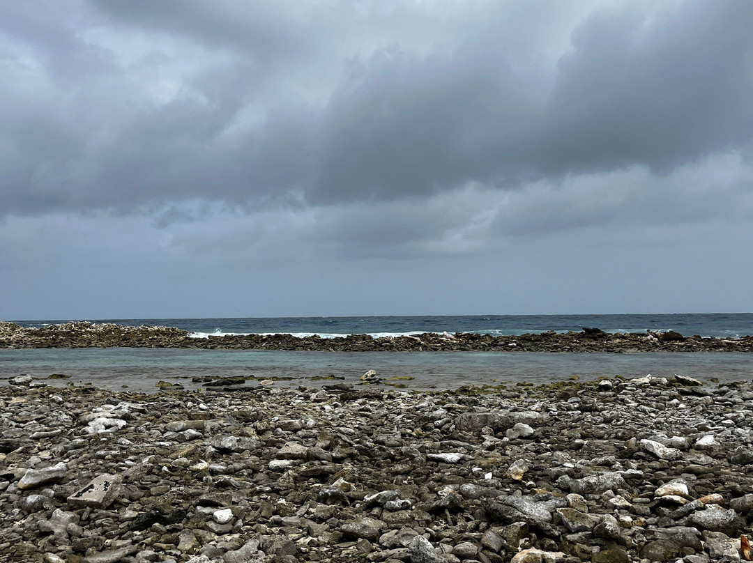 RockaBeach Tours-奥腊涅斯塔德必去景点