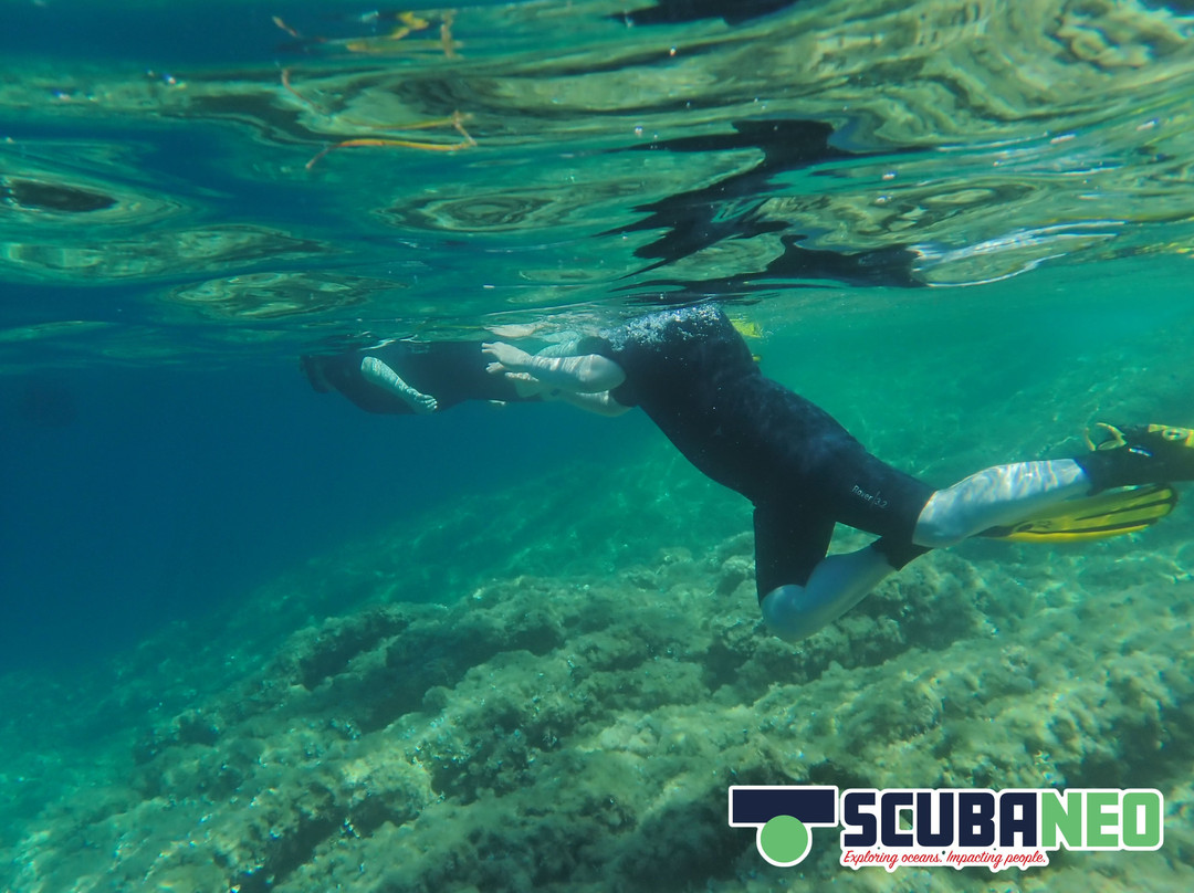 Scubaneo-阿库迪亚必去景点