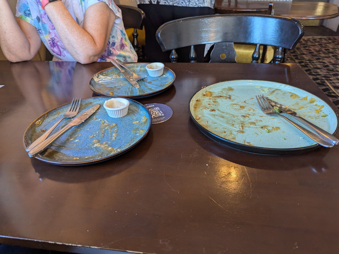 The Border Terrier-North Shields必去景点