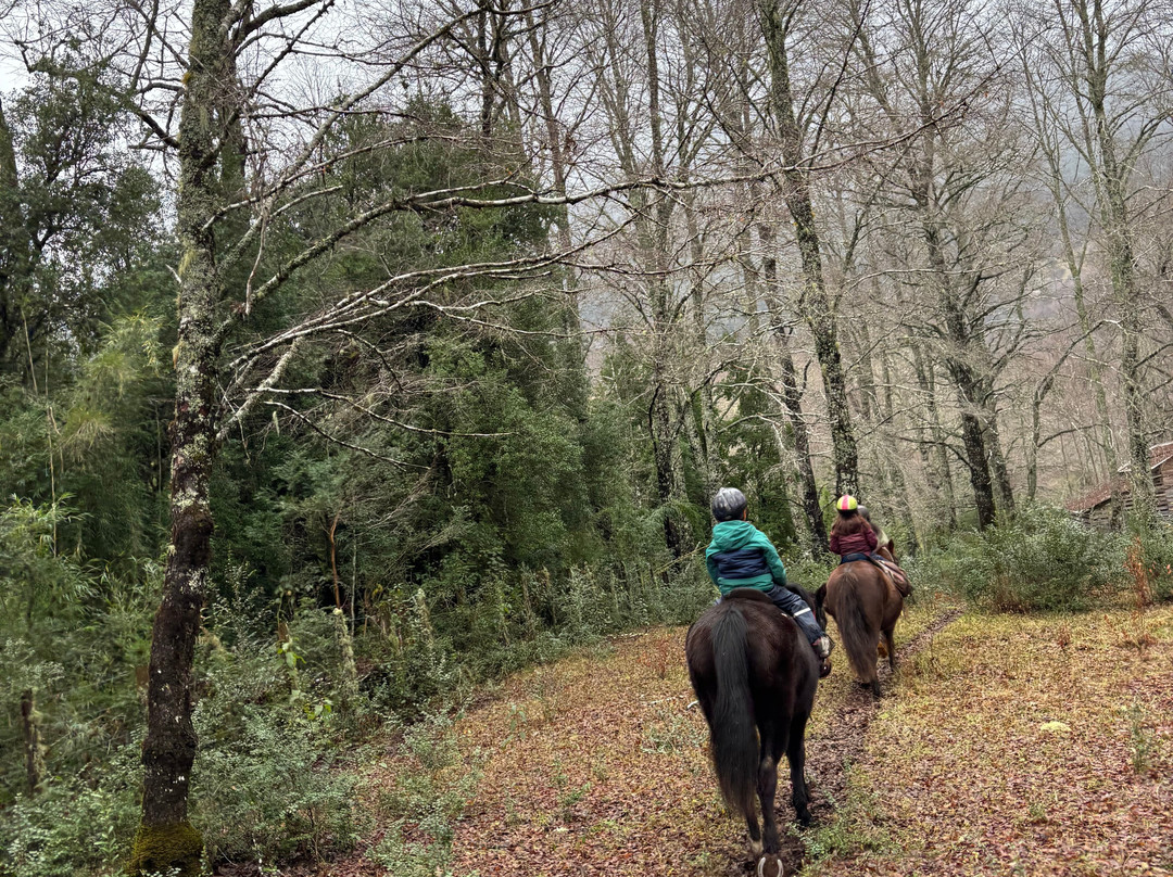 Alma Equina Pucon-普孔必去景点