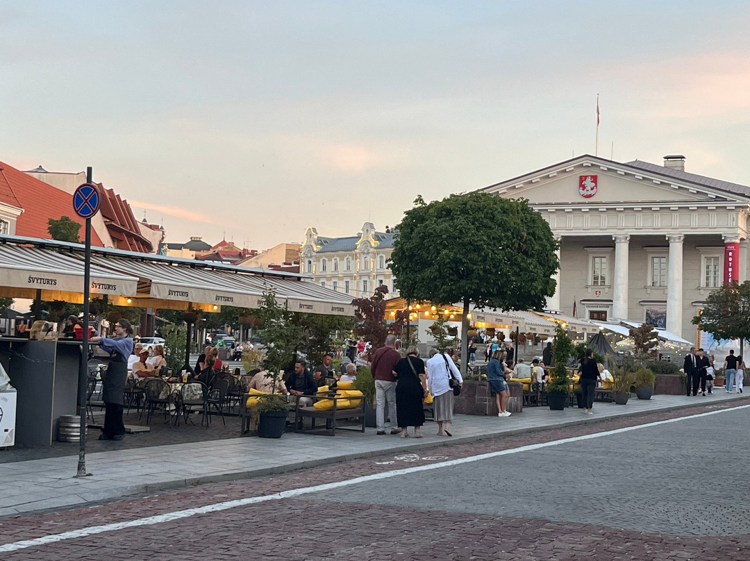 Gediminas Avenue-维尔纽斯必去景点