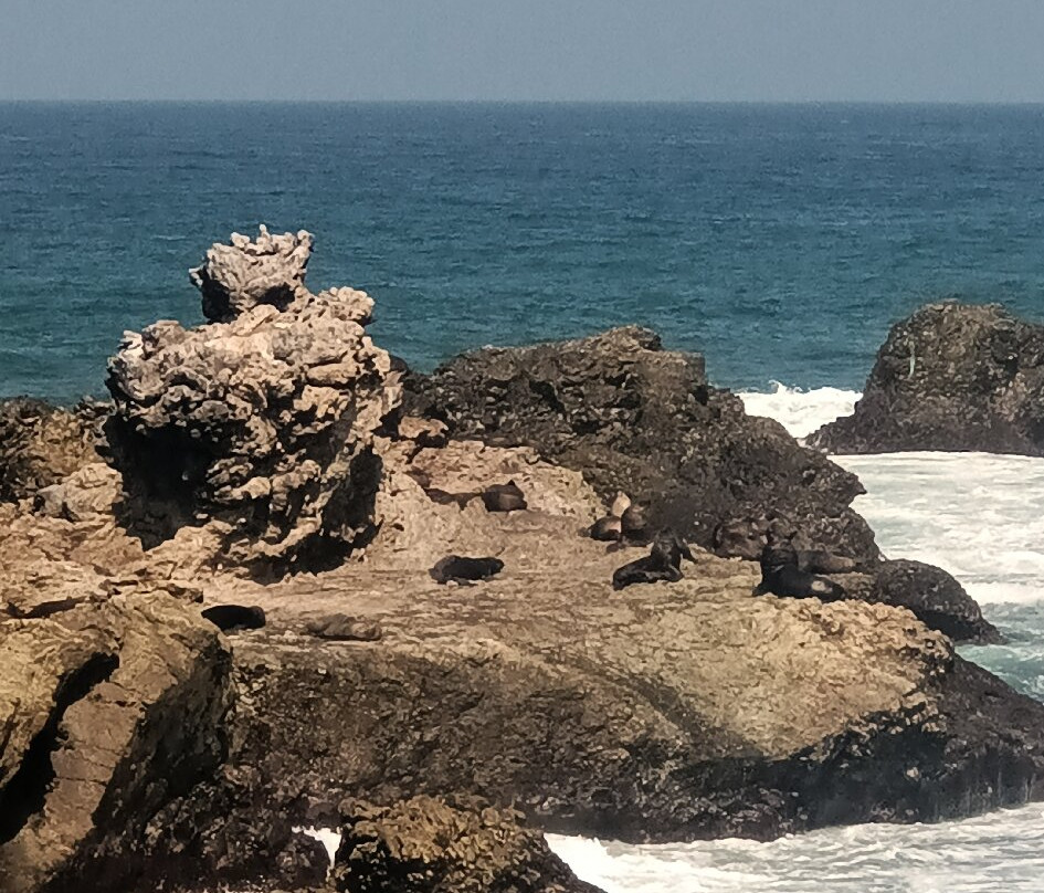 La Lobería-萨利纳斯必去景点