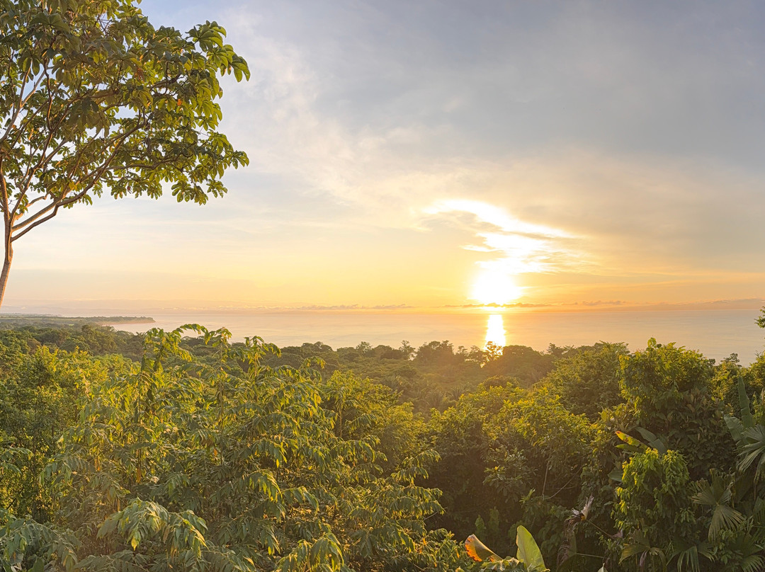 Lapa Rios Lodge主图