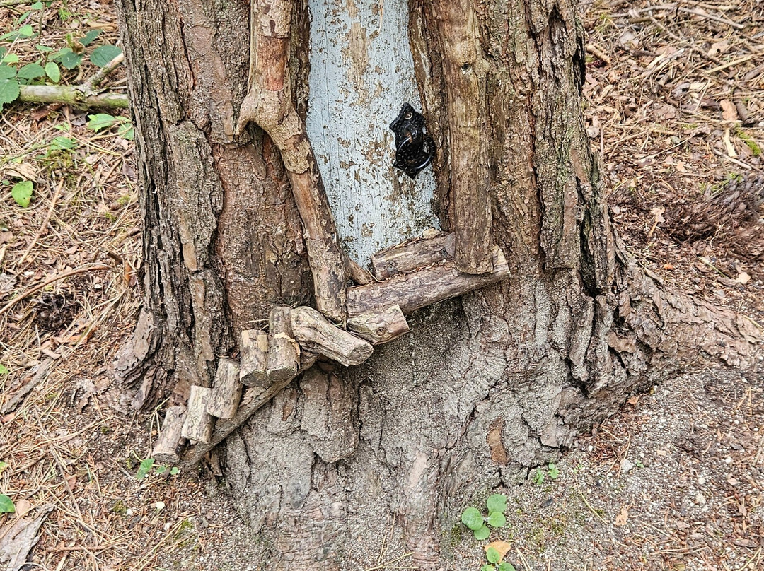 Northwood Trail – England’s Fairy Sanctuary-约克必去景点