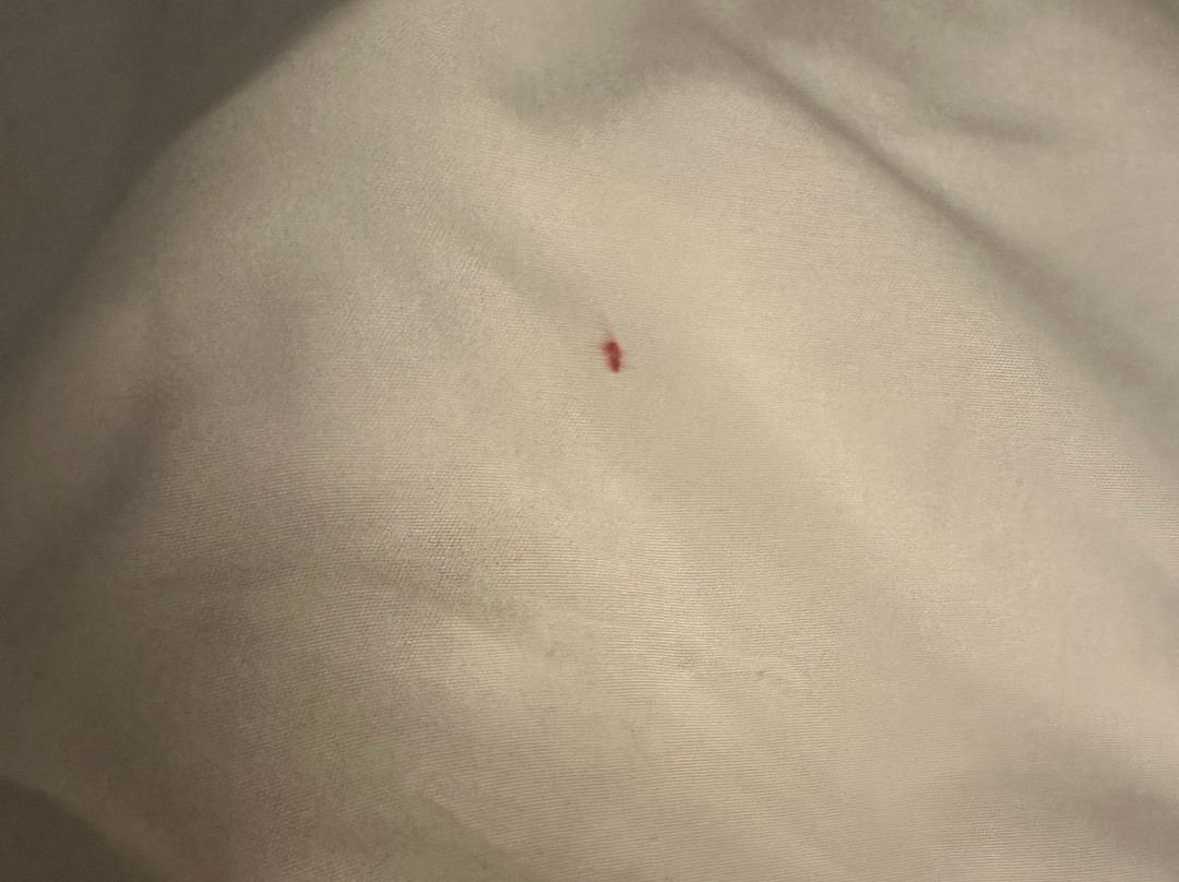 Comfort Inn & Suites主图