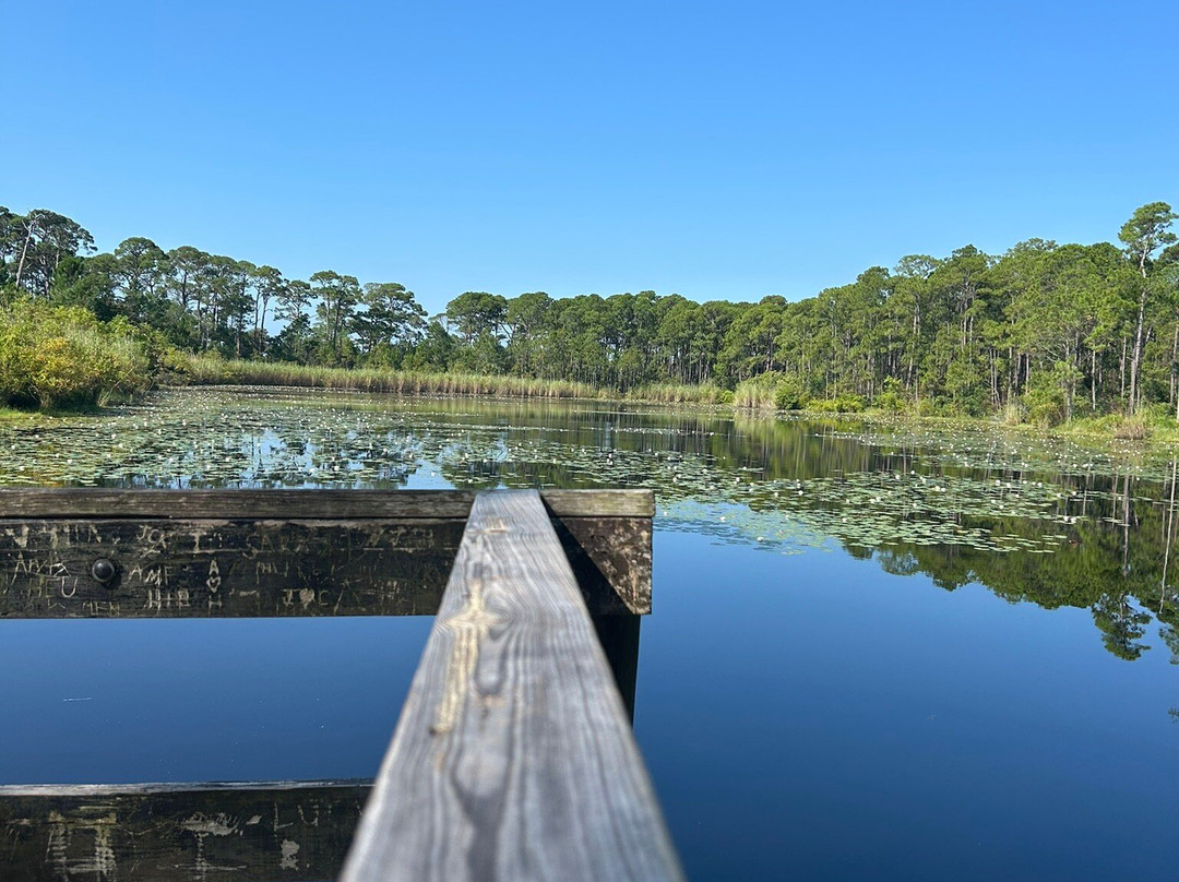 Dauphin Island Audubon Bird Sanctuary-Dauphin Island必去景点