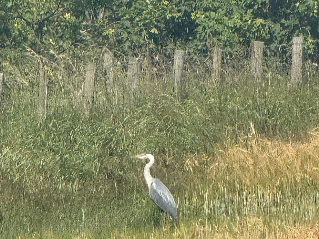 Druridge Bay Country Park & Visitor Centre-莫佩思必去景点