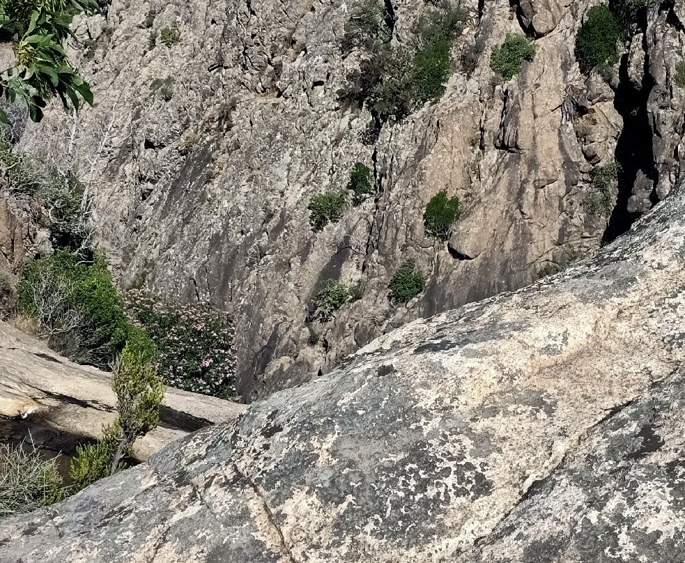 Sardinia Exploring-San Teodoro必去景点