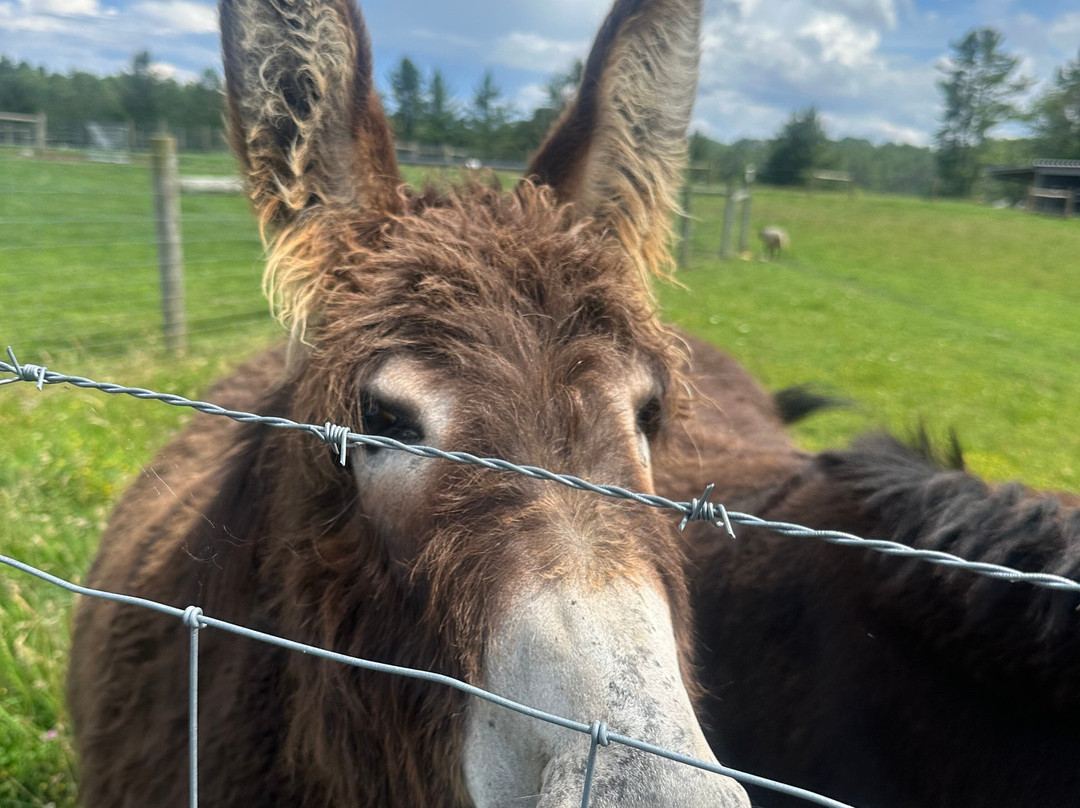 Glendale Ridge Farms-Jefferson必去景点