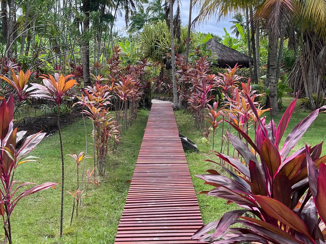 Tao Paradise-Pureza必去景点