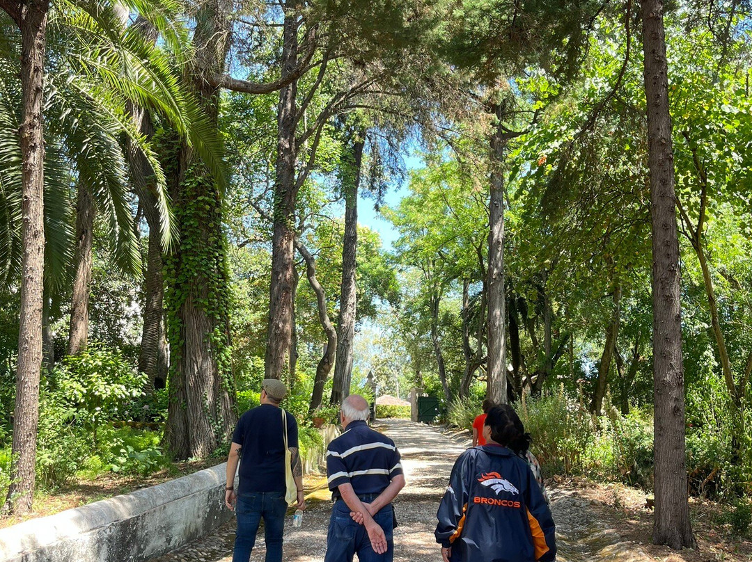 Azeite Casa Anadia - Olive Oil & Tours-Abrantes必去景点