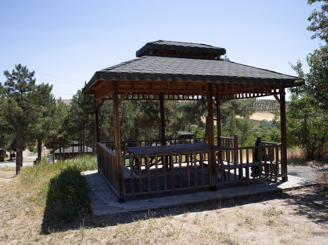 Cip Barajı Mesire Alanı