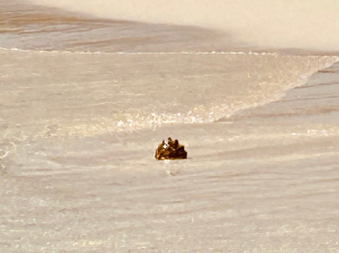 G. Sea Adventures-George Town必去景点