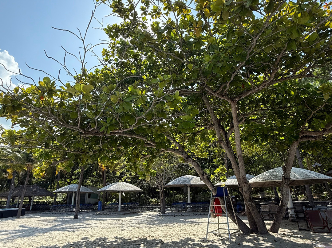 长滩-芽庄必去景点