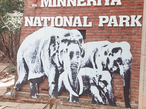 Nalin Jeep Safari-锡吉里亚必去景点