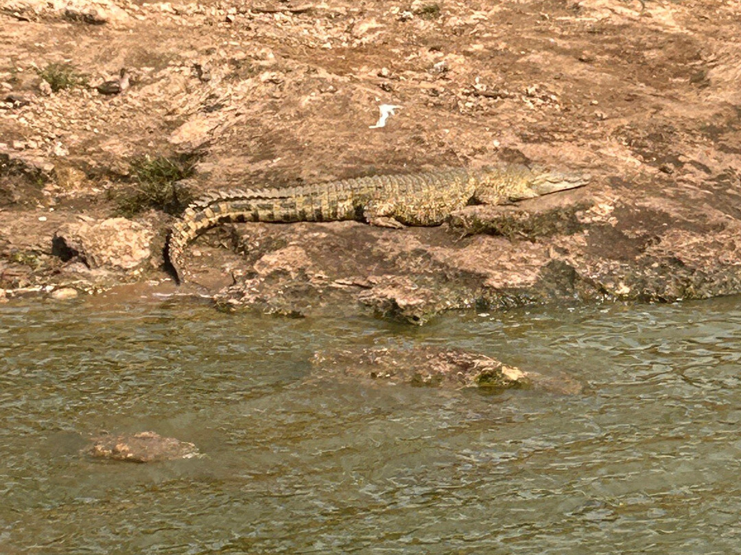 Aardvark Safari Lodge主图