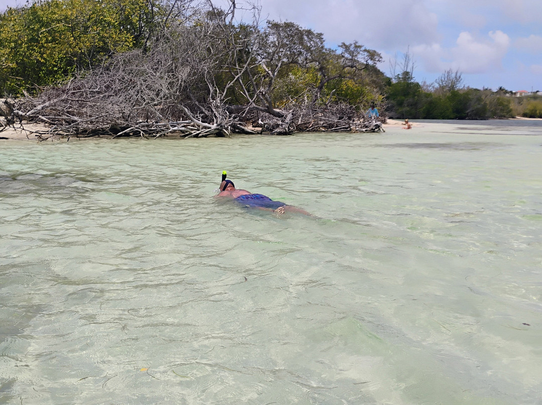 Bosque Estatal de Guánica-Guanica必去景点